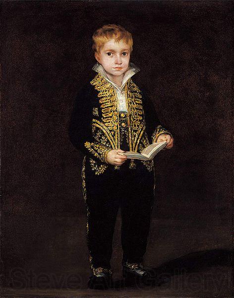 Francisco de Goya Portrait of Victor Guye Germany oil painting art